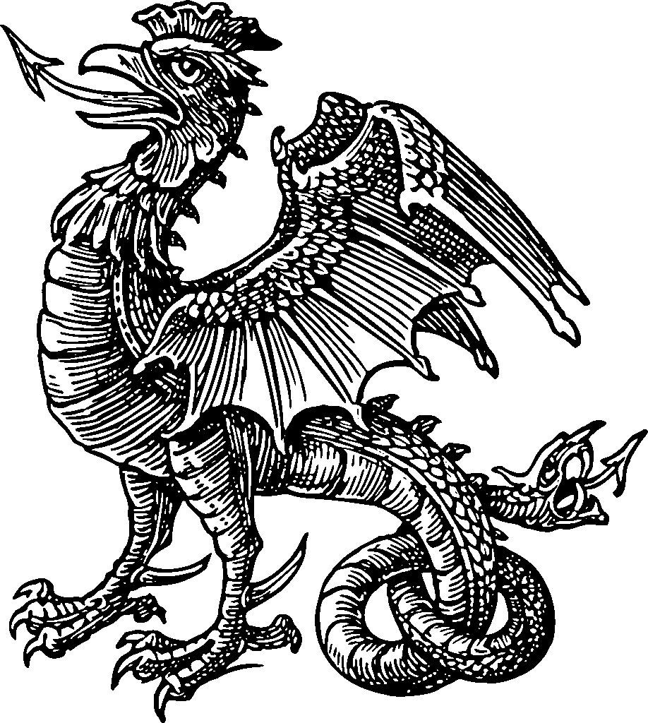 bazyliszka