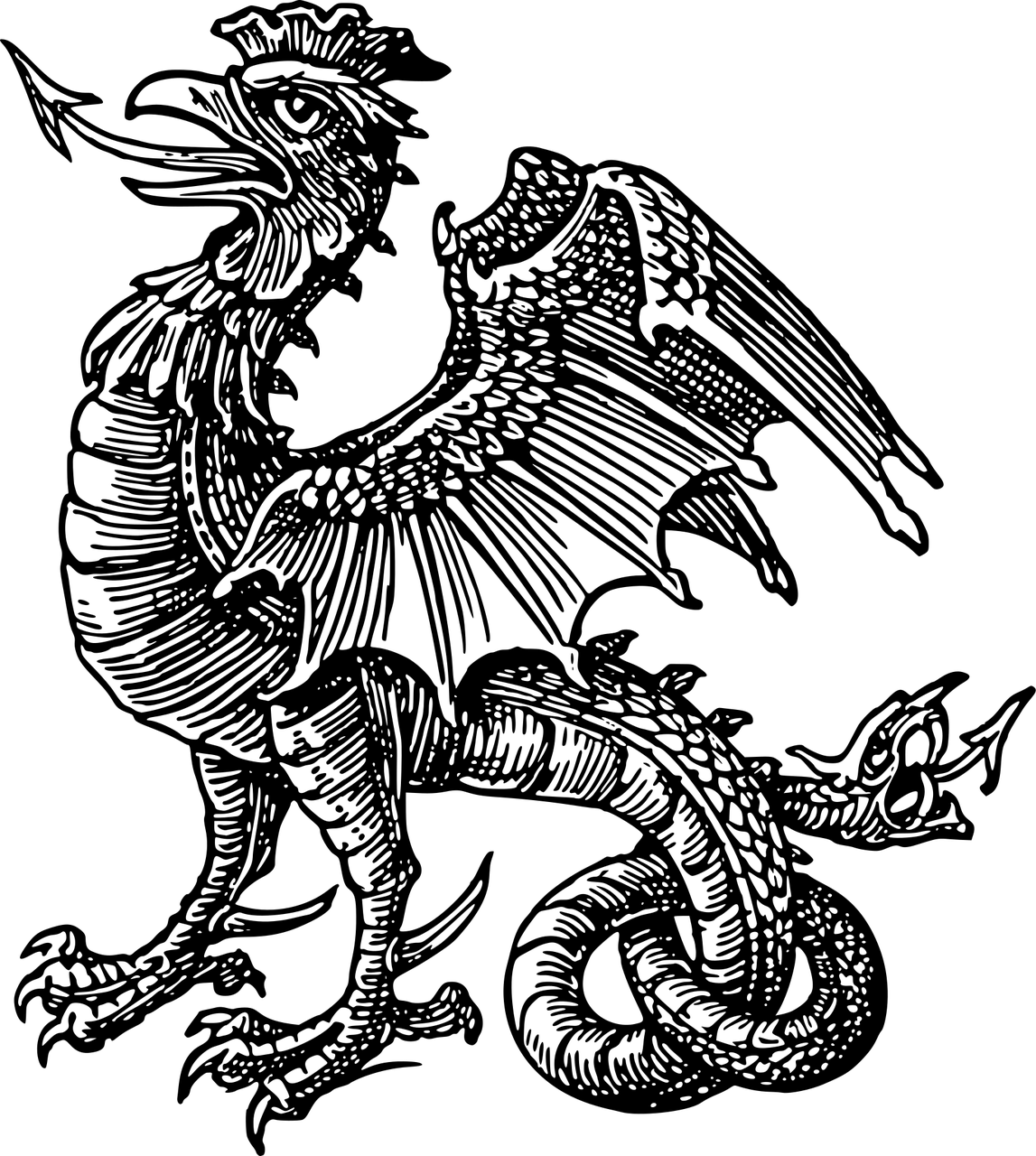 bazyliszka