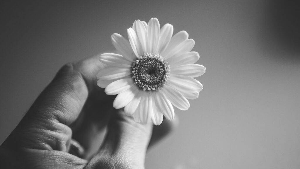 A black and white photo of a person holding a flower